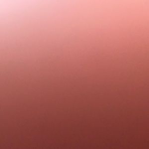 Meet your Posher, Gino